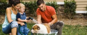 Get Set for a Pet Family Discussion Guide