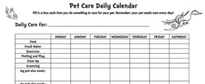 Pet Care Daily Calendar