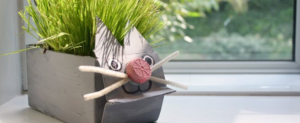 Pet Grass Planter